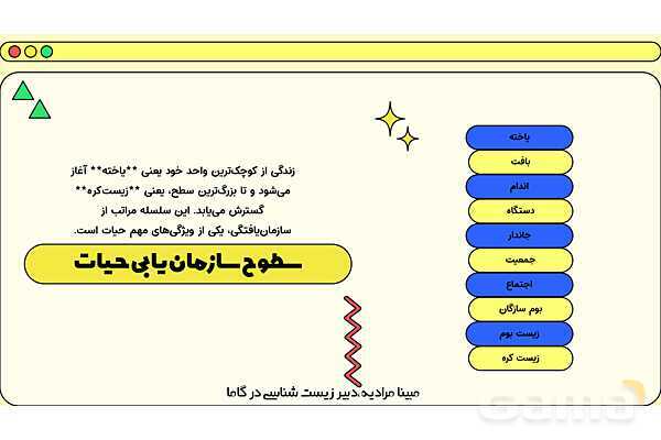 فایل پاورپوینت تدریس کامل فصل 1 زیست دهم؛ دنیای زنده- پیش نمایش