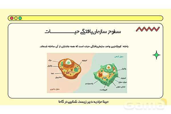 فایل پاورپوینت تدریس کامل فصل 1 زیست دهم؛ دنیای زنده- پیش نمایش