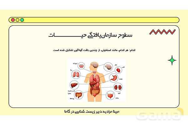 فایل پاورپوینت تدریس کامل فصل 1 زیست دهم؛ دنیای زنده- پیش نمایش
