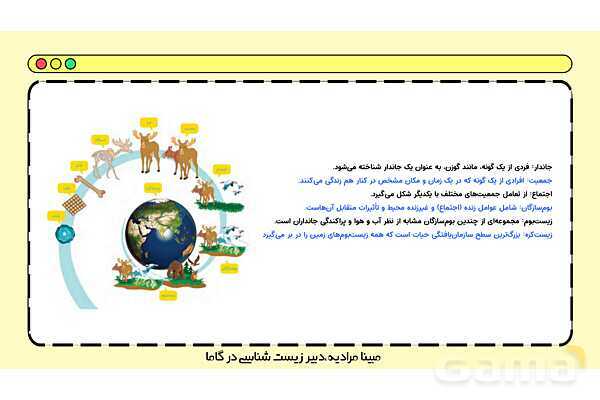 فایل پاورپوینت تدریس کامل فصل 1 زیست دهم؛ دنیای زنده- پیش نمایش