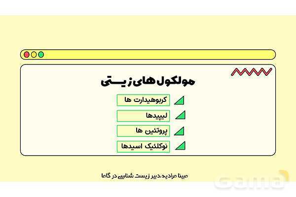 فایل پاورپوینت تدریس کامل فصل 1 زیست دهم؛ دنیای زنده- پیش نمایش