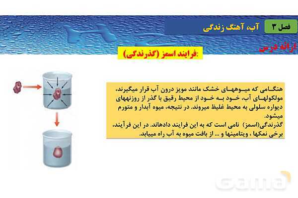 پاورپوینت صفحه 115 تا 119 شیمی دهم- پیش نمایش