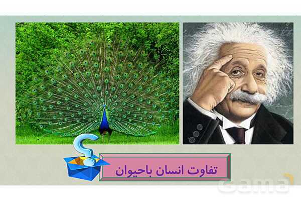 پاورپوینت درس 1: هدف زندگی | دین و زندگی (1) دهم انسانی چاپ 1404- پیش نمایش