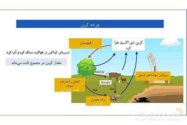 پاورپوینت فصل سوم علوم نهم با روش نقشه ذهنی؛ به دنبال محیطی بهتر برای زندگی- پیش نمایش
