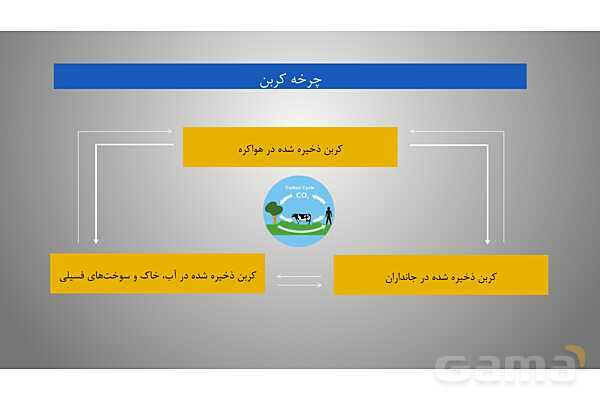 پاورپوینت فصل سوم علوم نهم با روش نقشه ذهنی؛ به دنبال محیطی بهتر برای زندگی- پیش نمایش