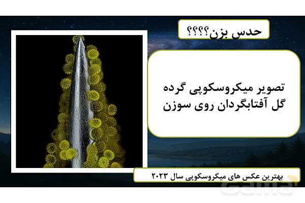 پاورپوینت درس اول پیام های آسمانی هشتم (آفرینش شگفت انگیز)- پیش نمایش