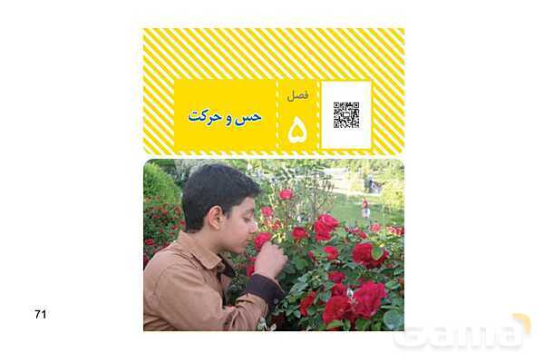پاورپوینت سوالات متن درس کتاب علوم هشتم - پیش نمایش