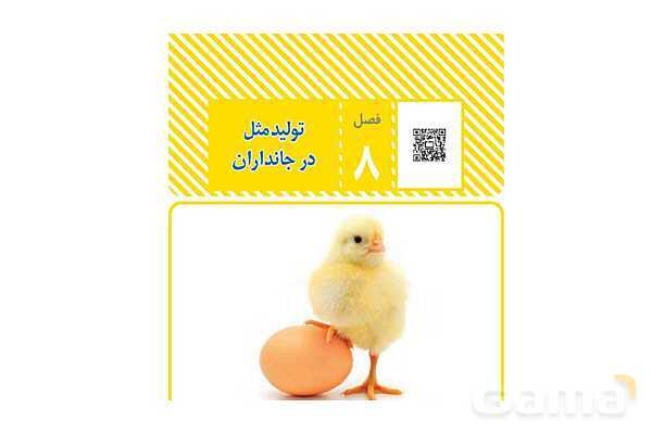 پاورپوینت سوالات متن درس کتاب علوم هشتم - پیش نمایش