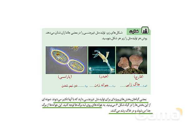 پاورپوینت سوالات متن درس کتاب علوم هشتم - پیش نمایش