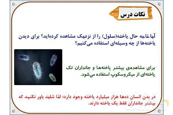 پاورپوینت علوم تجربی ششم دبستان | درس 10: خیلی کوچک، خیلی بزرگ- پیش نمایش