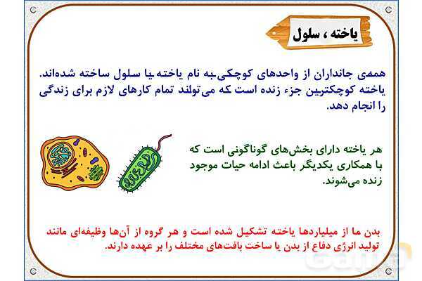 پاورپوینت علوم تجربی ششم دبستان | درس 10: خیلی کوچک، خیلی بزرگ- پیش نمایش