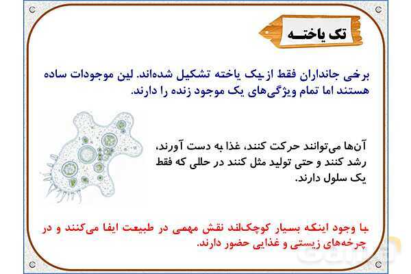 پاورپوینت علوم تجربی ششم دبستان | درس 10: خیلی کوچک، خیلی بزرگ- پیش نمایش
