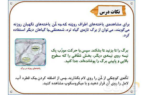 پاورپوینت علوم تجربی ششم دبستان | درس 10: خیلی کوچک، خیلی بزرگ- پیش نمایش