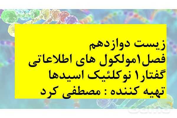 پاورپوینت خلاصه فصل 1 زیست شناسی دوازدهم؛ مولکول های اطلاعاتی- پیش نمایش