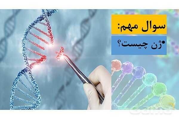 پاورپوینت خلاصه فصل 1 زیست شناسی دوازدهم؛ مولکول های اطلاعاتی- پیش نمایش