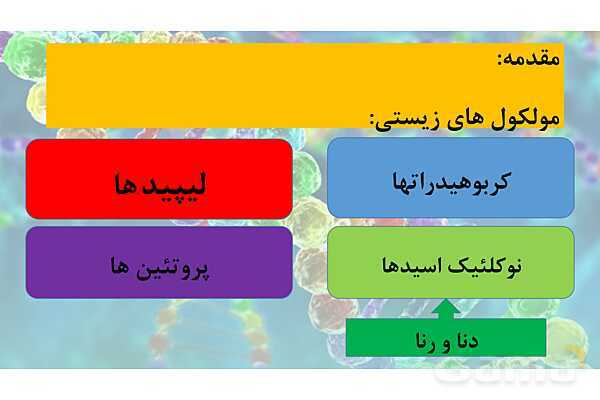 پاورپوینت خلاصه فصل 1 زیست شناسی دوازدهم؛ مولکول های اطلاعاتی- پیش نمایش