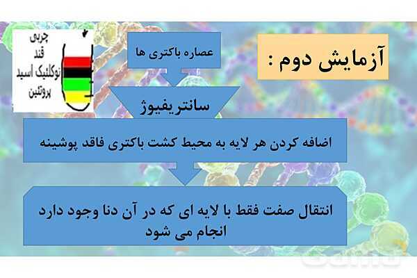 پاورپوینت خلاصه فصل 1 زیست شناسی دوازدهم؛ مولکول های اطلاعاتی- پیش نمایش