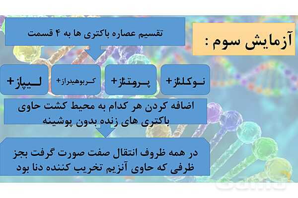 پاورپوینت خلاصه فصل 1 زیست شناسی دوازدهم؛ مولکول های اطلاعاتی- پیش نمایش