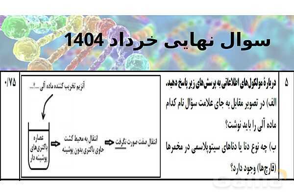 پاورپوینت خلاصه فصل 1 زیست شناسی دوازدهم؛ مولکول های اطلاعاتی- پیش نمایش