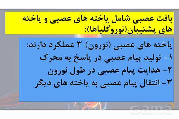 پاورپوینت خلاصه فصل 1 زیست یازدهم؛ تنظیم عصبی- پیش نمایش