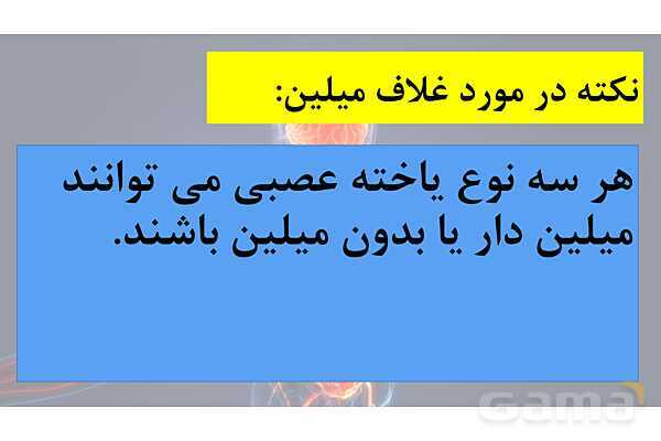 پاورپوینت خلاصه فصل 1 زیست یازدهم؛ تنظیم عصبی- پیش نمایش