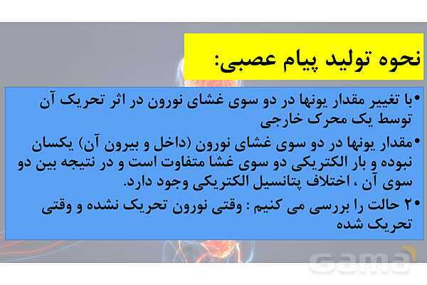 پاورپوینت خلاصه فصل 1 زیست یازدهم؛ تنظیم عصبی- پیش نمایش