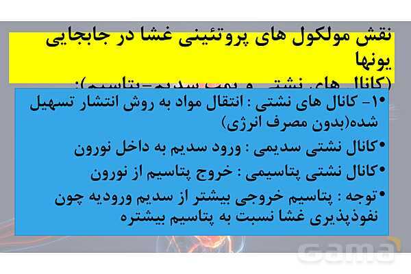پاورپوینت خلاصه فصل 1 زیست یازدهم؛ تنظیم عصبی- پیش نمایش