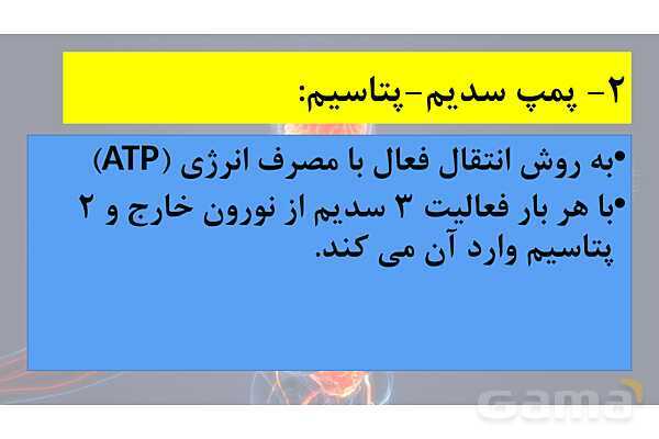 پاورپوینت خلاصه فصل 1 زیست یازدهم؛ تنظیم عصبی- پیش نمایش