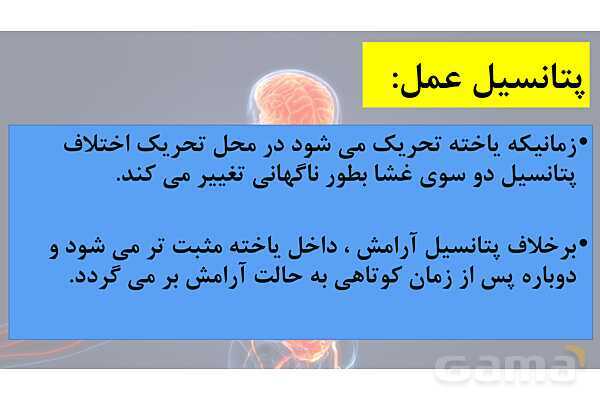 پاورپوینت خلاصه فصل 1 زیست یازدهم؛ تنظیم عصبی- پیش نمایش