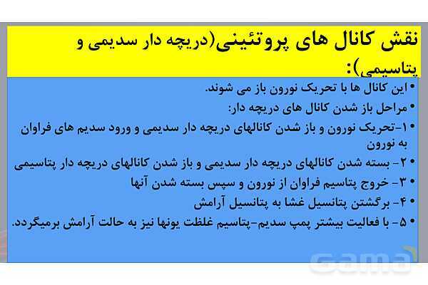 پاورپوینت خلاصه فصل 1 زیست یازدهم؛ تنظیم عصبی- پیش نمایش