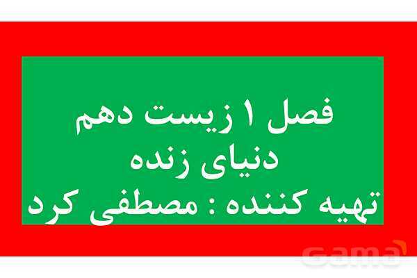 پاورپوینت خلاصه فصل 1 زیست دهم؛ دنیای زنده- پیش نمایش