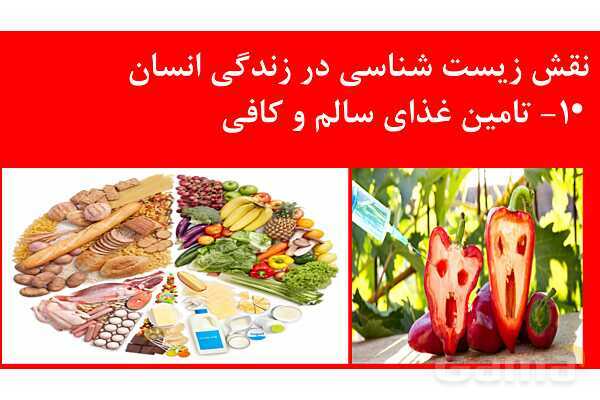 پاورپوینت خلاصه فصل 1 زیست دهم؛ دنیای زنده- پیش نمایش