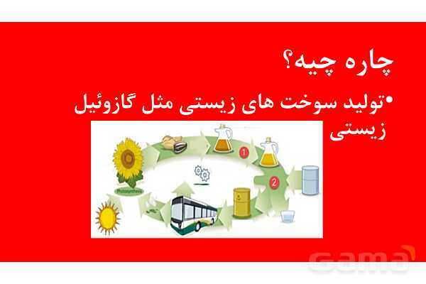 پاورپوینت خلاصه فصل 1 زیست دهم؛ دنیای زنده- پیش نمایش