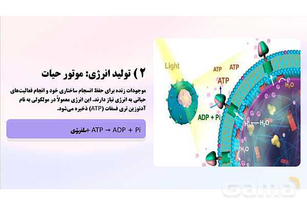 پاورپوینت پودمان 2: موجودات زنده | کتاب درسی زیست شناسی فنی- پیش نمایش