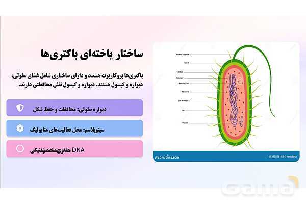 پاورپوینت پودمان 2: موجودات زنده | کتاب درسی زیست شناسی فنی- پیش نمایش