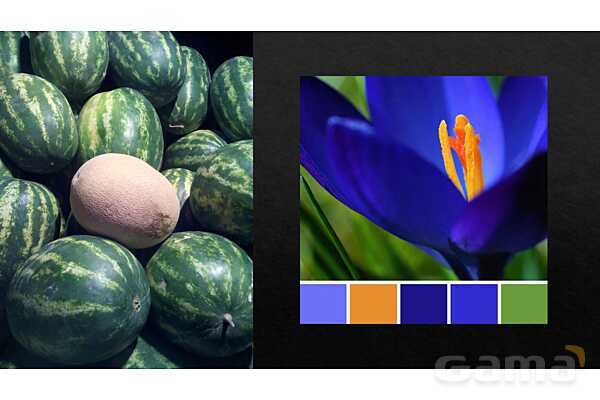 پاورپوینت آموزشی رنگ در هنرهای تجسمی ویژه دوره متوسطه اول- پیش نمایش