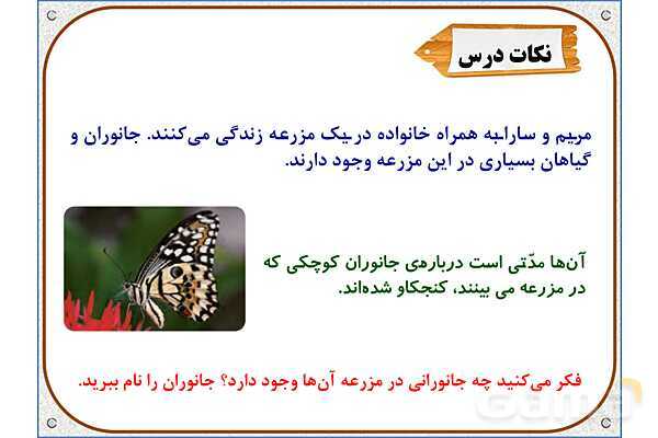 پاورپوینت علوم تجربی سوم دبستان | درس 1: زنگ علوم- پیش نمایش