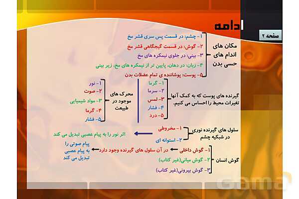 پاور فصل 5: حس و حرکت | علوم هشتم- پیش نمایش