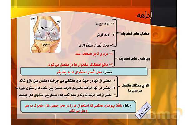 پاور فصل 5: حس و حرکت | علوم هشتم- پیش نمایش