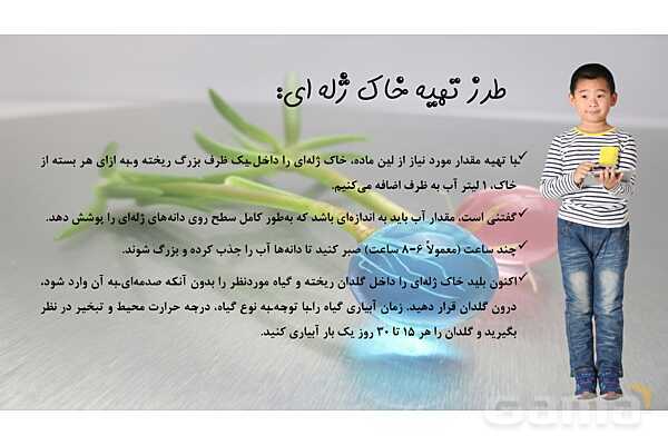 تحقیق در مورد خاک ژله ای- پیش نمایش