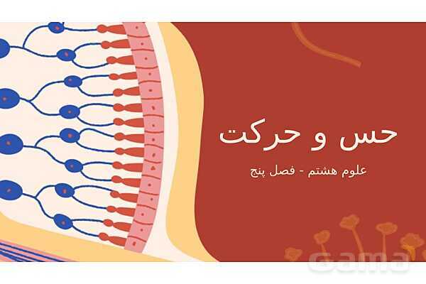 پاورپوینت تدریس فصل 5: حس و حرکت | علوم تجربی هشتم- پیش نمایش