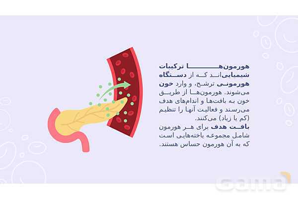 پاورپوینت تدریس فصل 6: تنظیم هورمونی | علوم تجربی هشتم- پیش نمایش