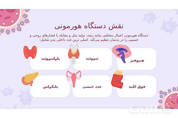 پاورپوینت تدریس فصل 6: تنظیم هورمونی | علوم تجربی هشتم- پیش نمایش