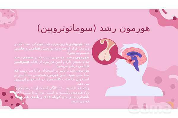 پاورپوینت تدریس فصل 6: تنظیم هورمونی | علوم تجربی هشتم- پیش نمایش