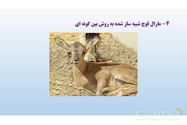 پاورپوینت فصل 1 علوم تجربی هفتم - تجربه و تفکر- پیش نمایش