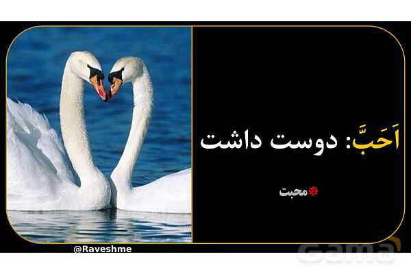 آموزش تصویری همه فعل‌های ماضی عربی سال هشتم- پیش نمایش