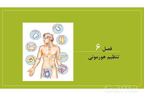 فایل پاورپوینت فصل 6 علوم هشتم: تنظیم هورمونی- پیش نمایش