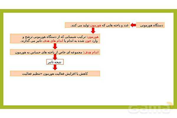فایل پاورپوینت فصل 6 علوم هشتم: تنظیم هورمونی- پیش نمایش