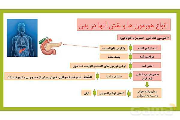 فایل پاورپوینت فصل 6 علوم هشتم: تنظیم هورمونی- پیش نمایش