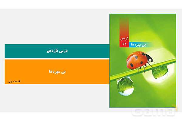 پاورپوینت درس 11 علوم چهارم: بی مهره ها- پیش نمایش